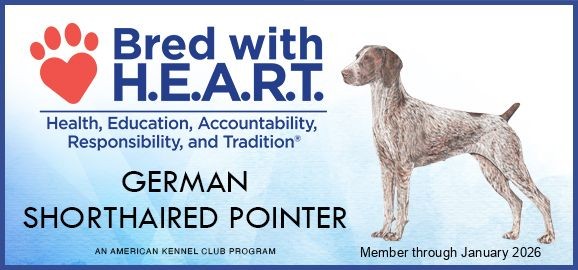 AKC Bred with H.E.A.R.T. designation