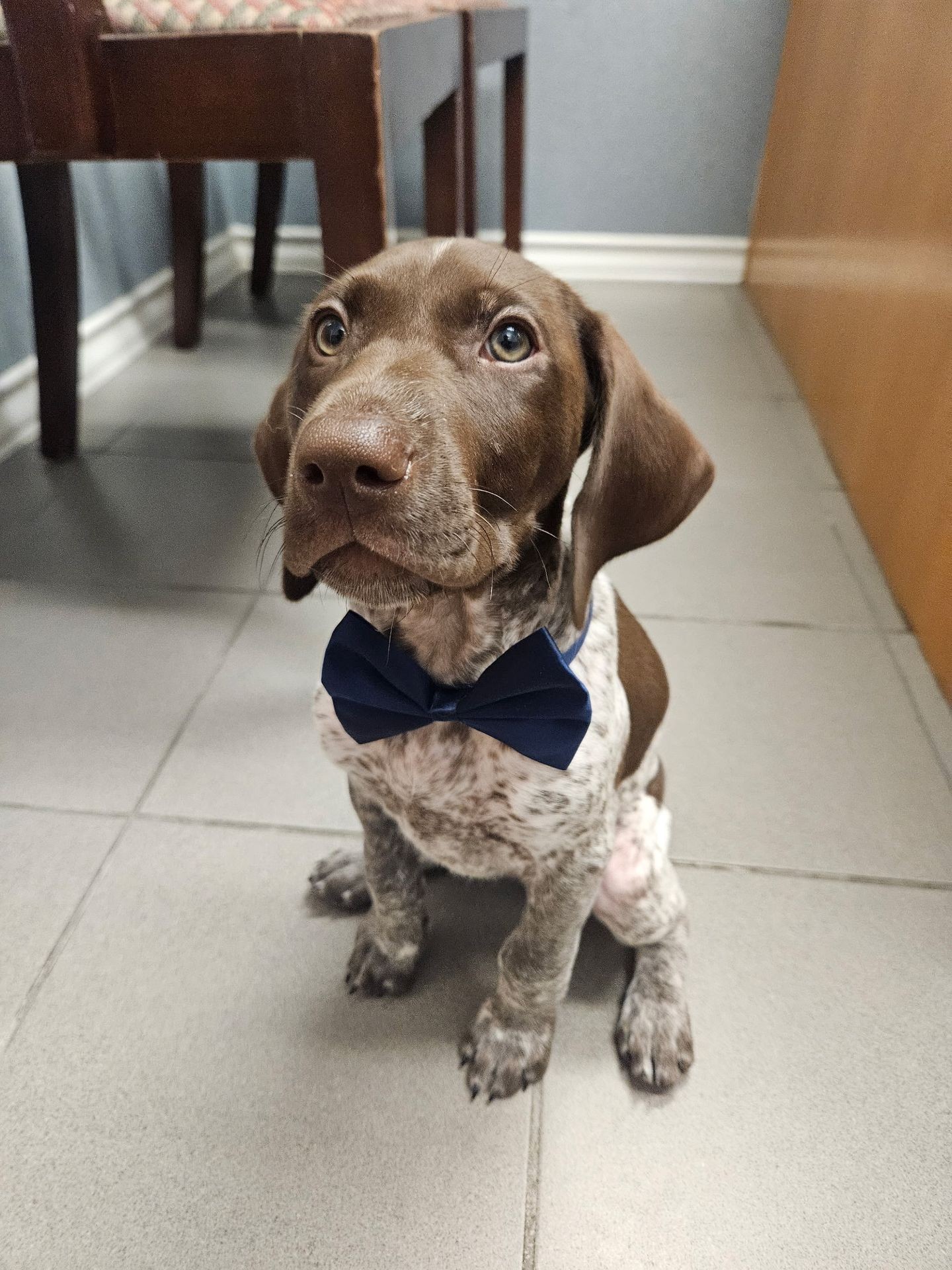 "Rocky's Mom" Lisa S.